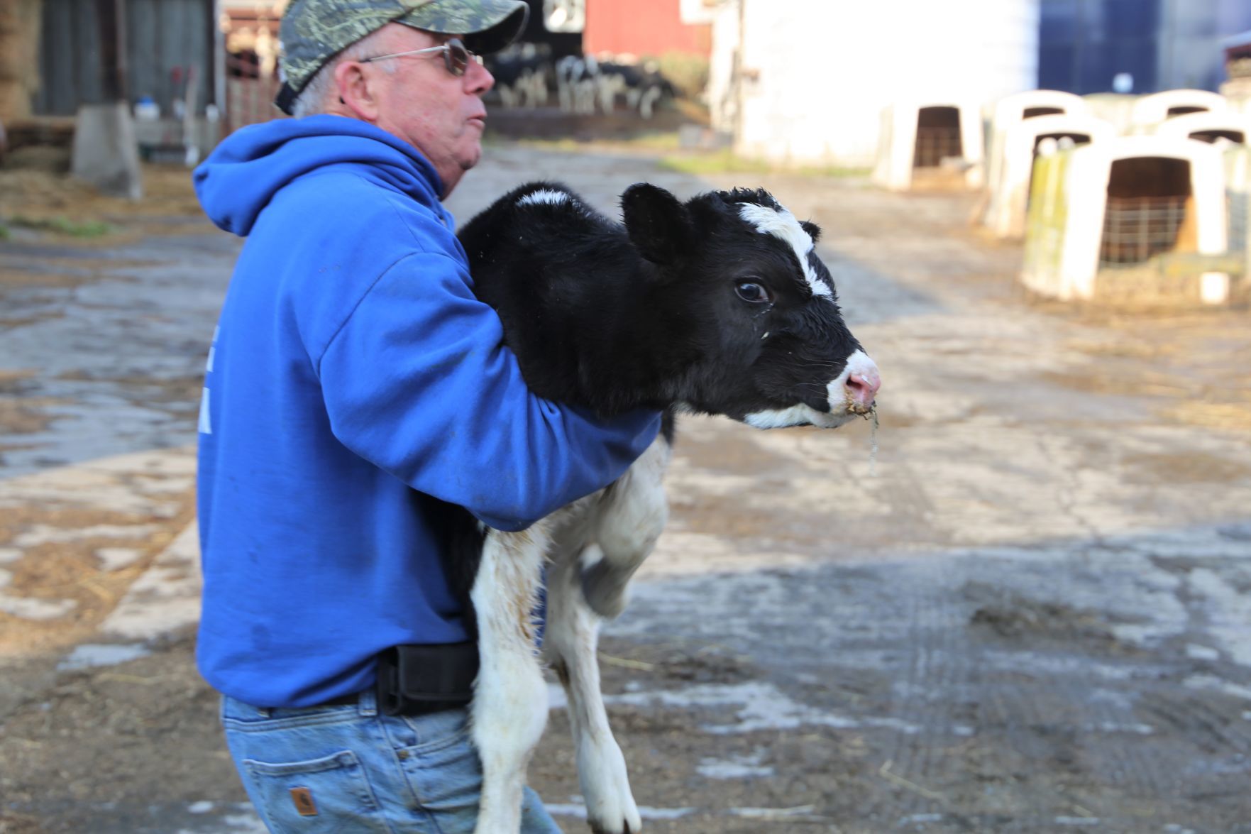 Hollister Brothers Farm